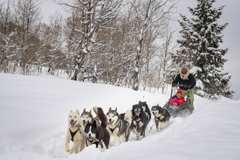 Park City 2022 Christmas Meet The Sleigh Dogs Creating New Family Traditions For The Holidays In Park City - Park City  Lodging | Abode Park City | Utah Vacation Rentals